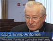 Incontro mondiale delle famiglie, un evento globale - Intervista di Rome reports al Cardinale Ennio Antonelli