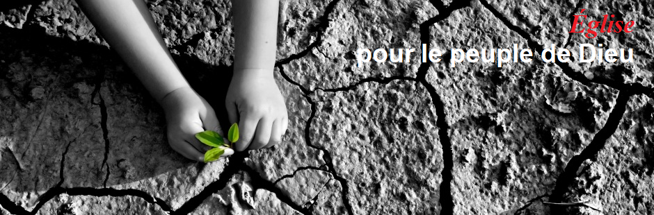 DicastÃ¨re pour les laÃ¯cs, la famille et la vie