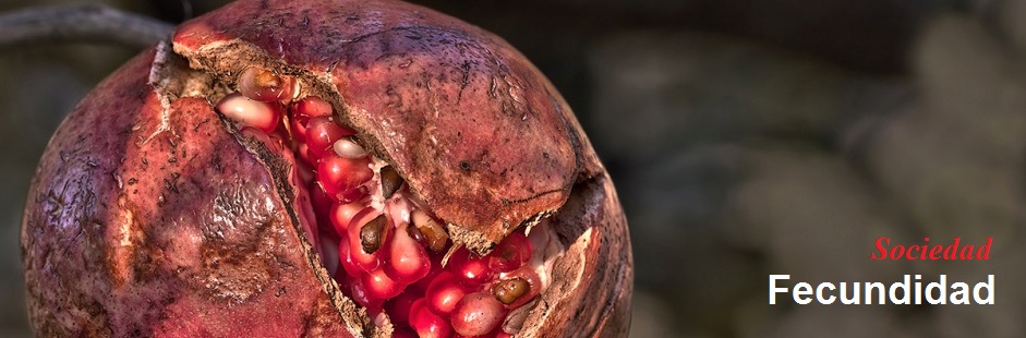 El matrimonio segÃºn Francisco 